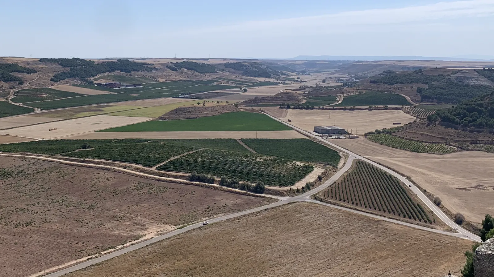 Campos y viñedos del valle del Duero vistos desde el castillo de Peñafiel, en Ribera del Duero