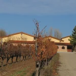 Ribera del Duero califica la añada 2025 como «Muy Buena»