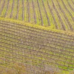La Fundación MAGA gana el Best Of Wine Tourism internacional 2027